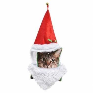 Kerstkleding poezen kerstmuts en baard