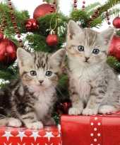 20x kerstservetten met 2 kleine katjes poesjes 33 cm