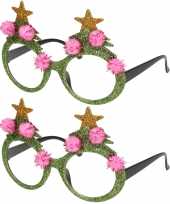 2x stuks kerstaccessoires groene kerstbrillen voor dames en heren