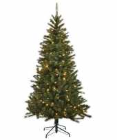 Kerst kunstboom kingston met lampjes 215 cm