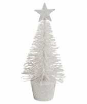 Klein wit kerstboompje 15 cm